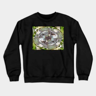 Bandstand Crewneck Sweatshirt